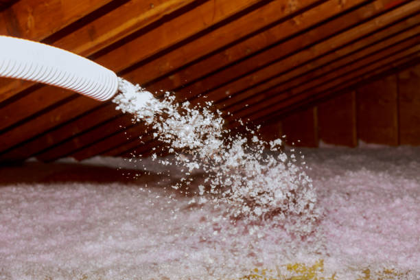 Types of Insulation We Offer in Strawberry Plains, TN
