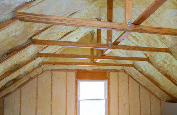 Best Eco-Friendly Insulation in Strawberry Plains, TN
