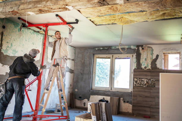 Best DIY Insulation Kits and Guidance in Strawberry Plains, TN
