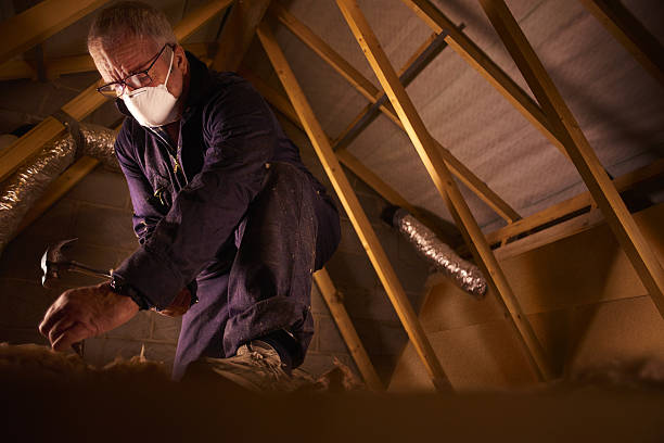 Best Energy Efficiency Insulation in Strawberry Plains, TN