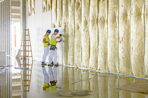 Professional Insulation Contractor in Strawberry Plains, TN